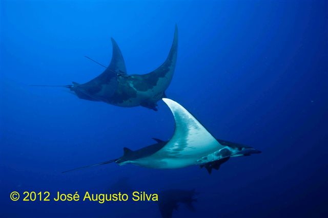 click image for a larger view