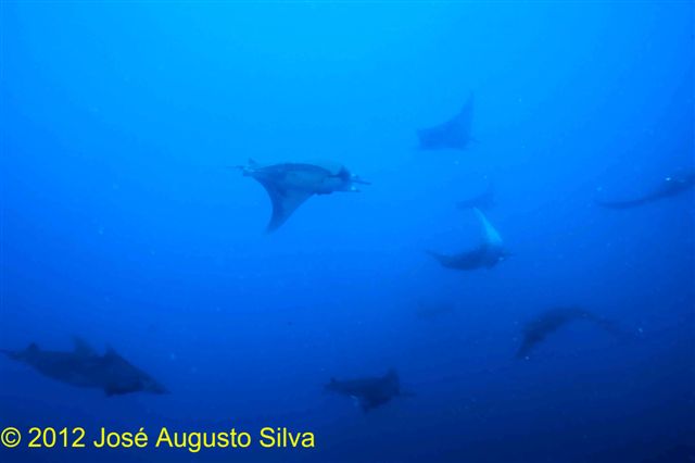 click image for a larger view