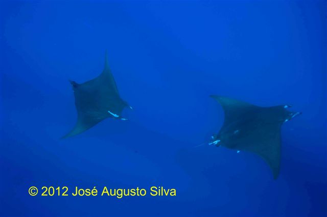 click image for a larger view