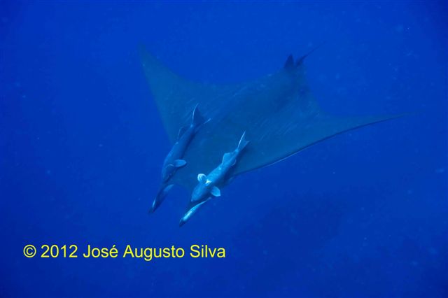 click image for a larger view