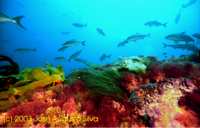 click image for a larger view