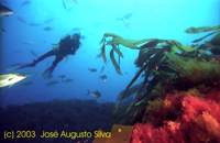 click image for a larger view